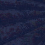 From Mass Promotions to Intelligent Decisions in Grocery Retail